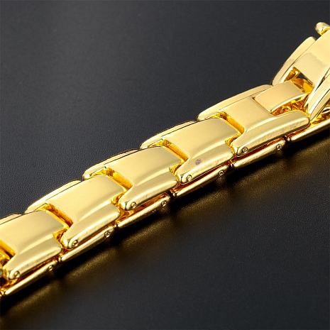 ������������ ������� GSMIN Magnetic Chain (�������)