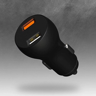 ������������� �������� ����������